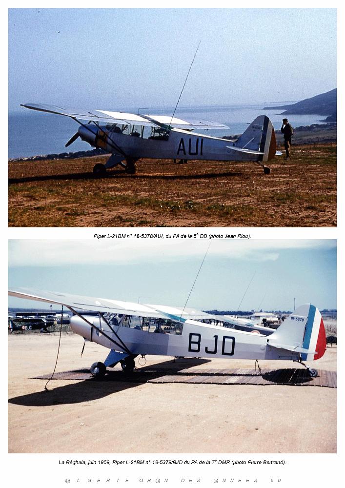 Piper L-21B_000044.jpg